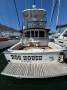 Caribbean 40 Flybridge Cruiser