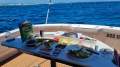 Caribbean 40 Flybridge Cruiser