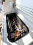 Caribbean 40 Flybridge Cruiser