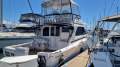 Caribbean 40 Flybridge Cruiser