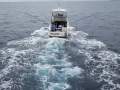 Caribbean 40 Flybridge Cruiser