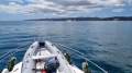 Caribbean 40 Flybridge Cruiser