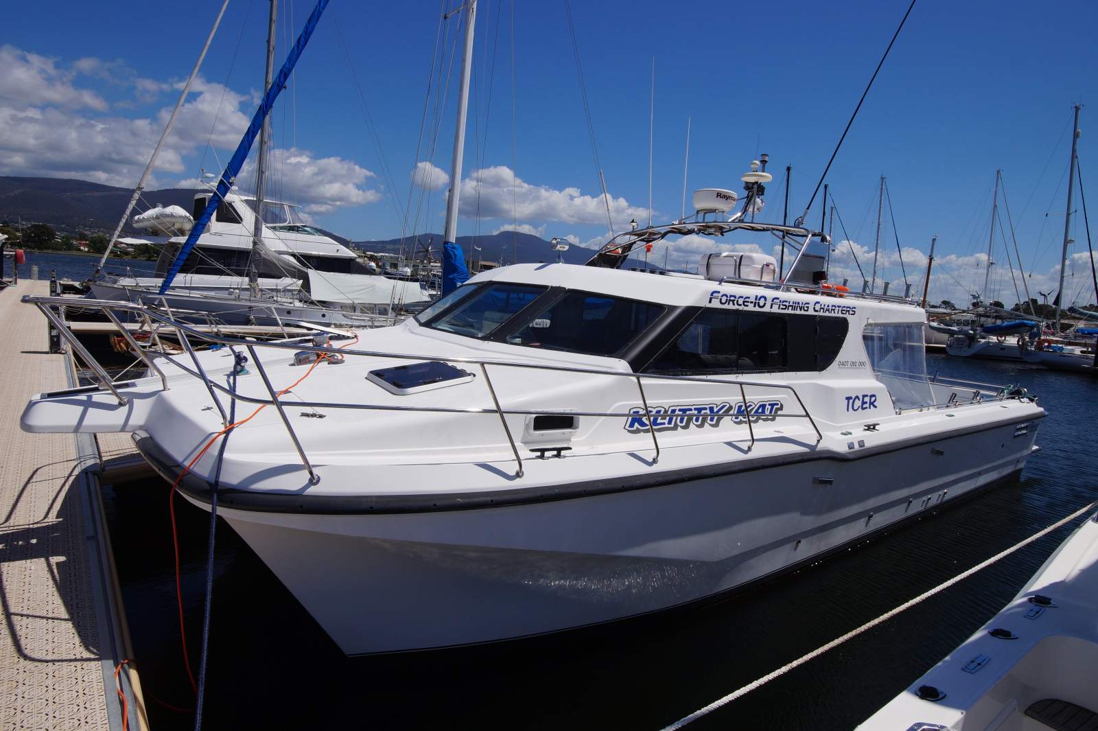 Cougar Cat 40 (2C / 3C Survey)