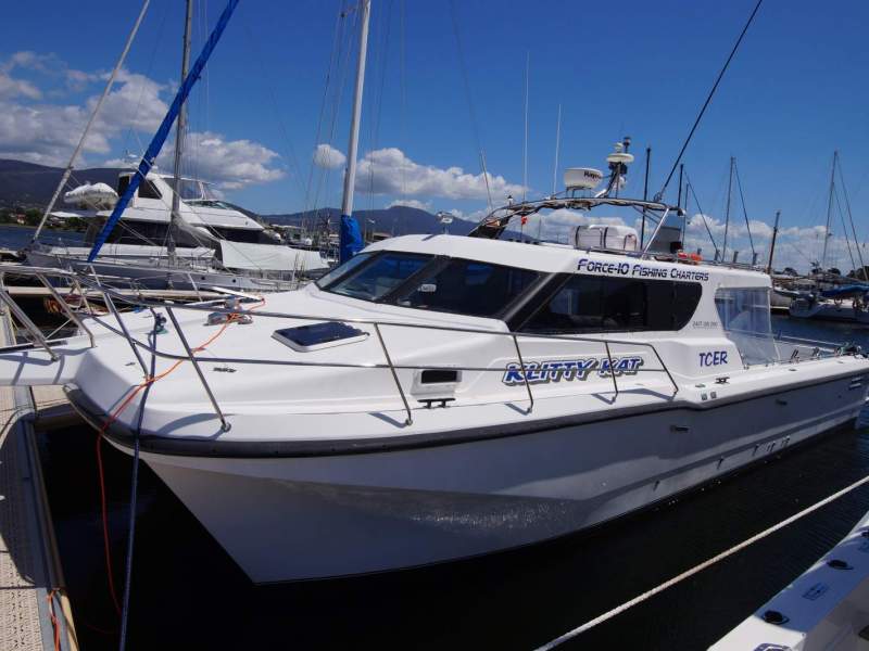 Cougar Cat 40 (2C / 3C Survey)