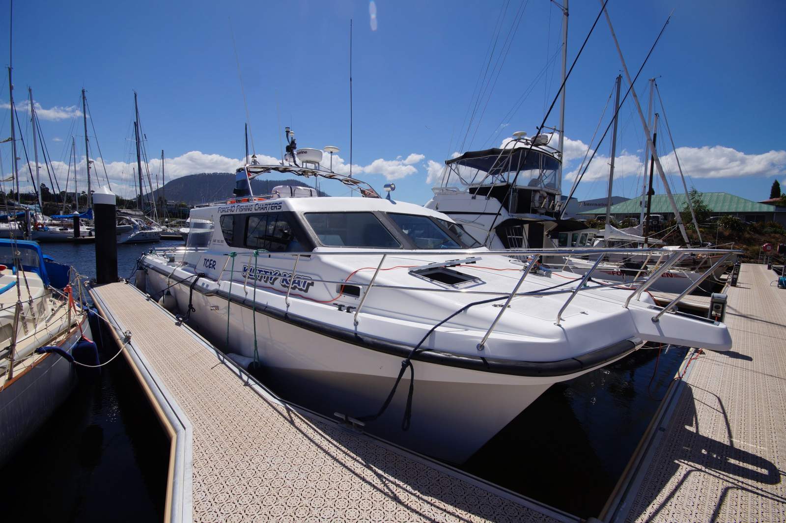 Cougar Cat 40 (2C / 3C Survey)