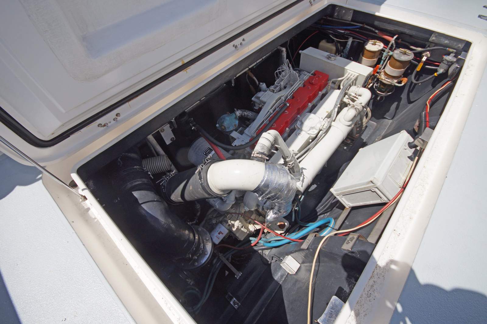 Cougar Cat 40 (2C / 3C Survey)