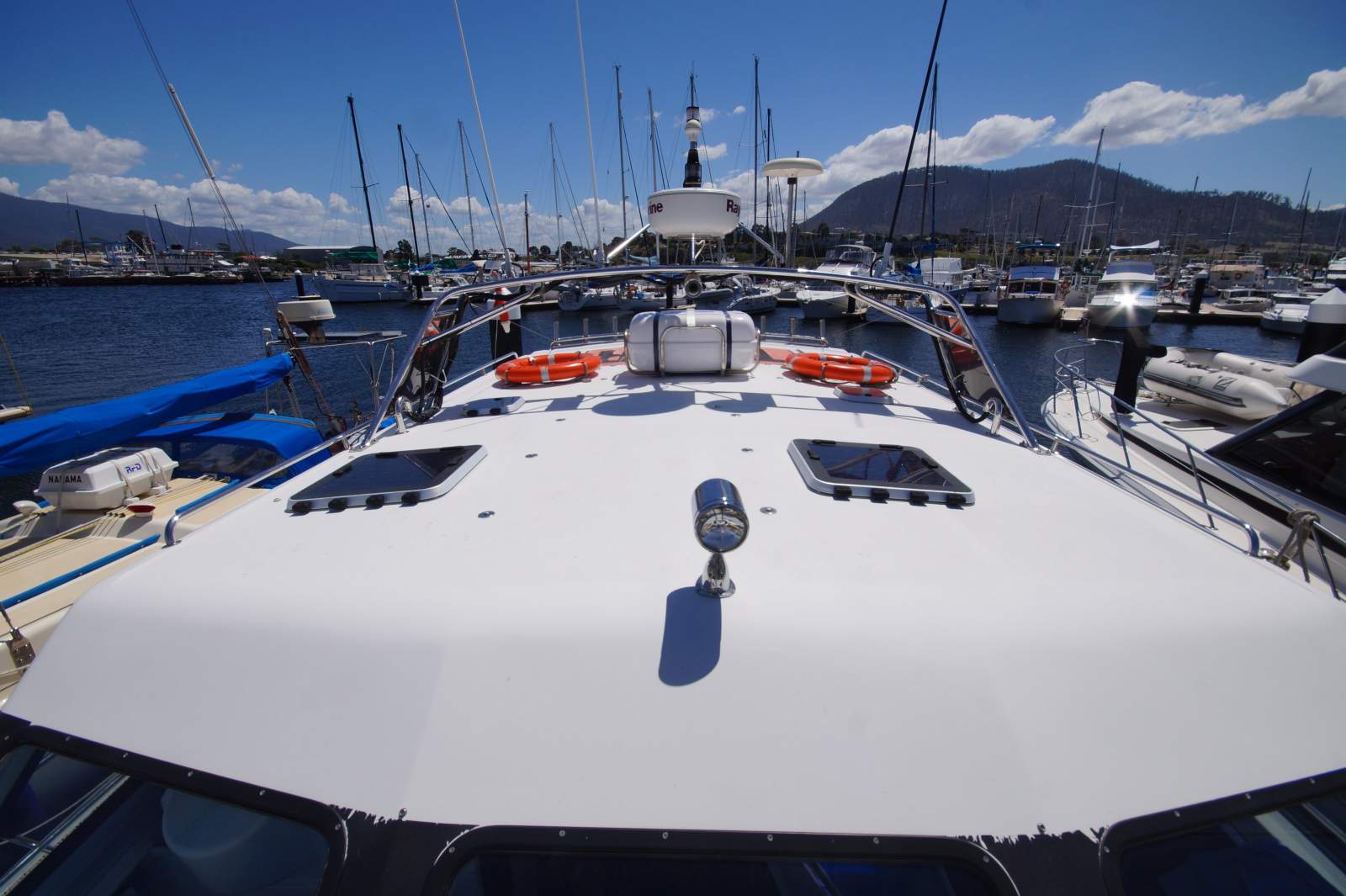 Cougar Cat 40 (2C / 3C Survey)