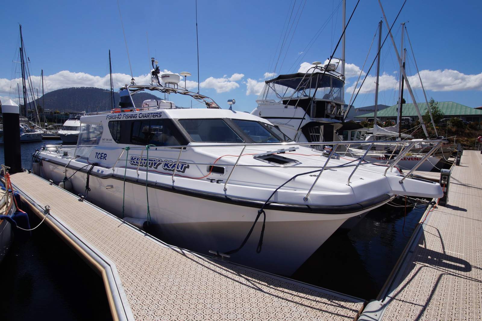 Cougar Cat 40 (2C / 3C Survey)