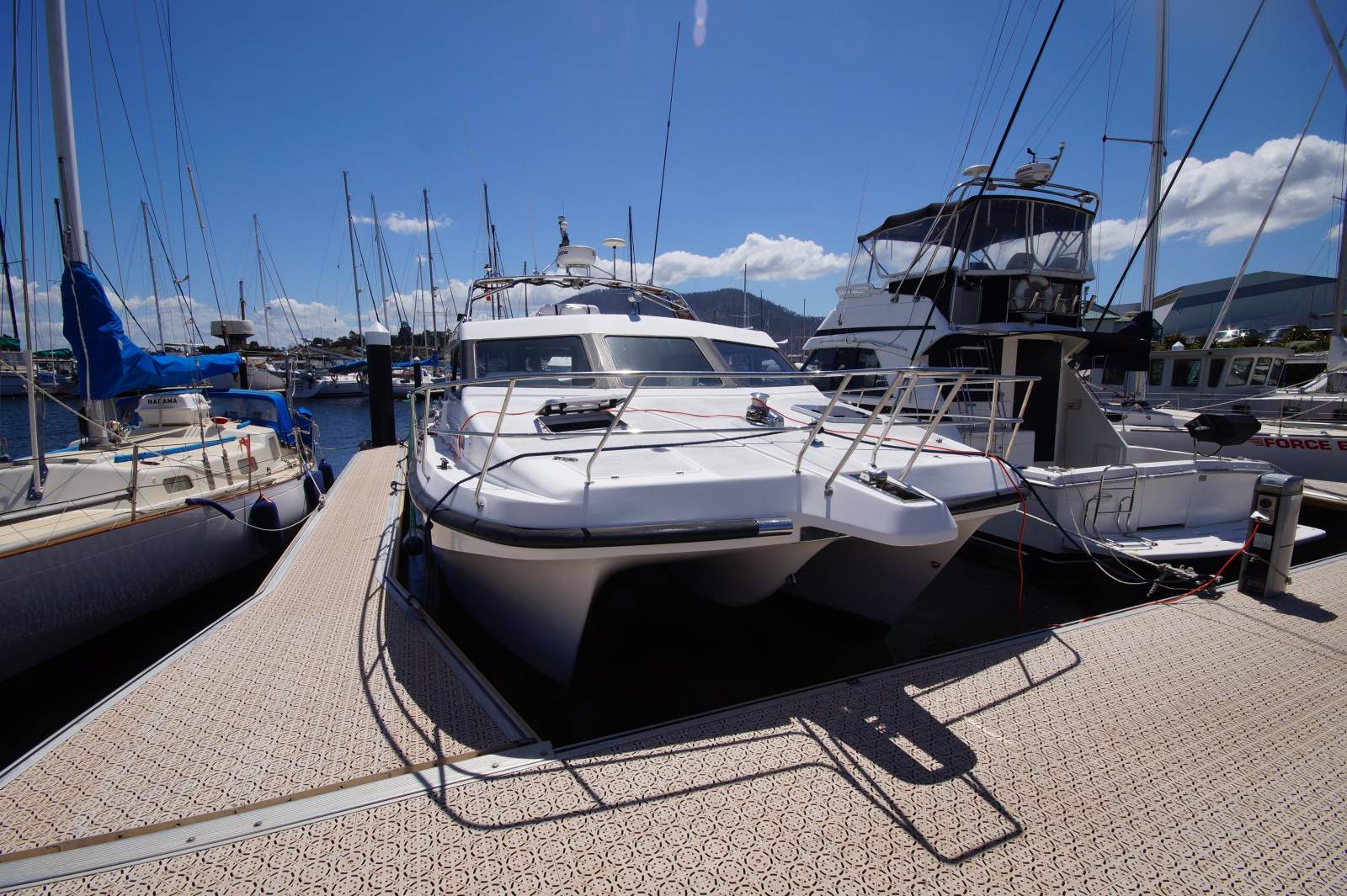 Cougar Cat 40 (2C / 3C Survey)