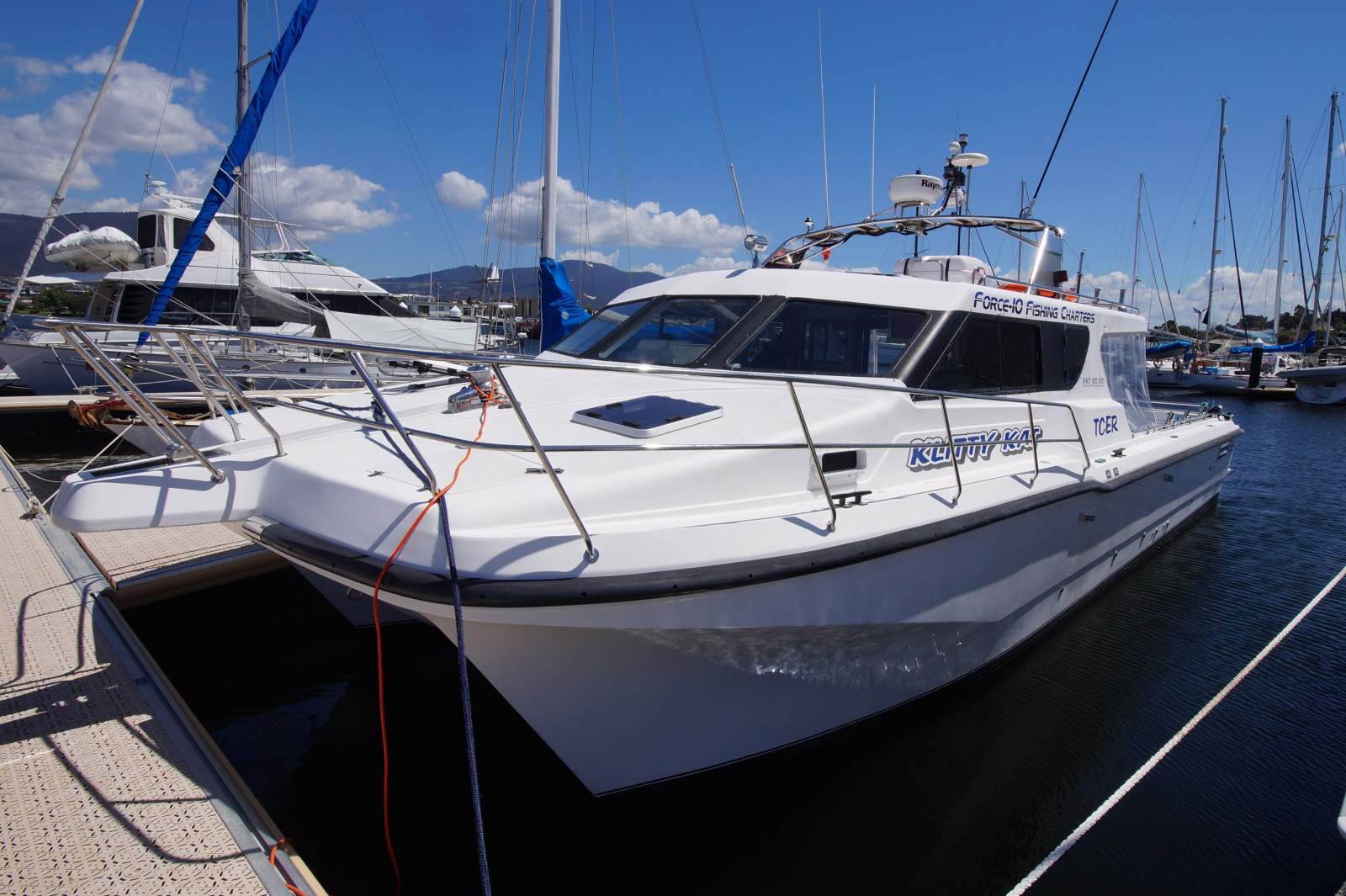 Cougar Cat 40 (2C / 3C Survey)