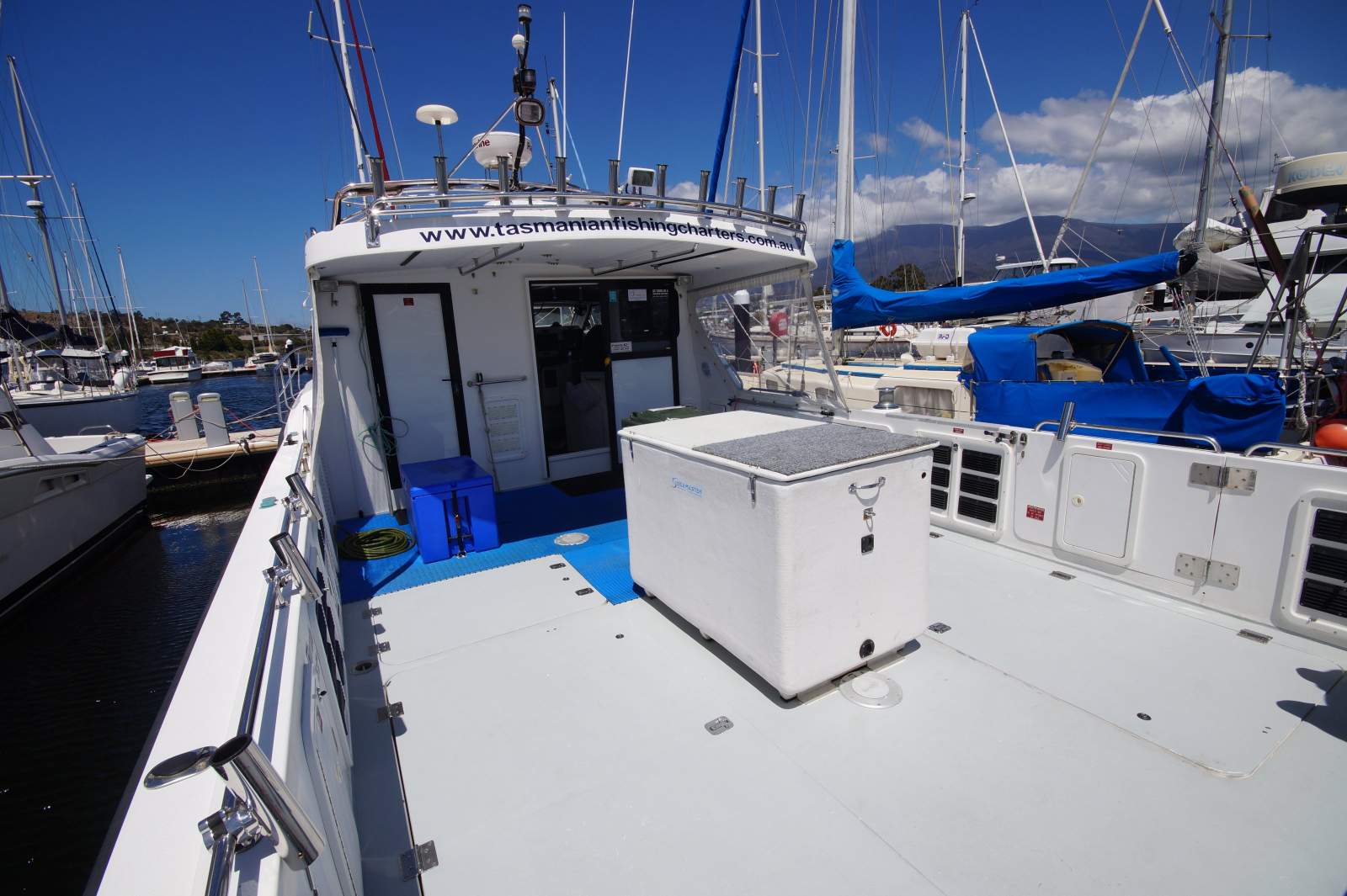 Cougar Cat 40 (2C / 3C Survey)