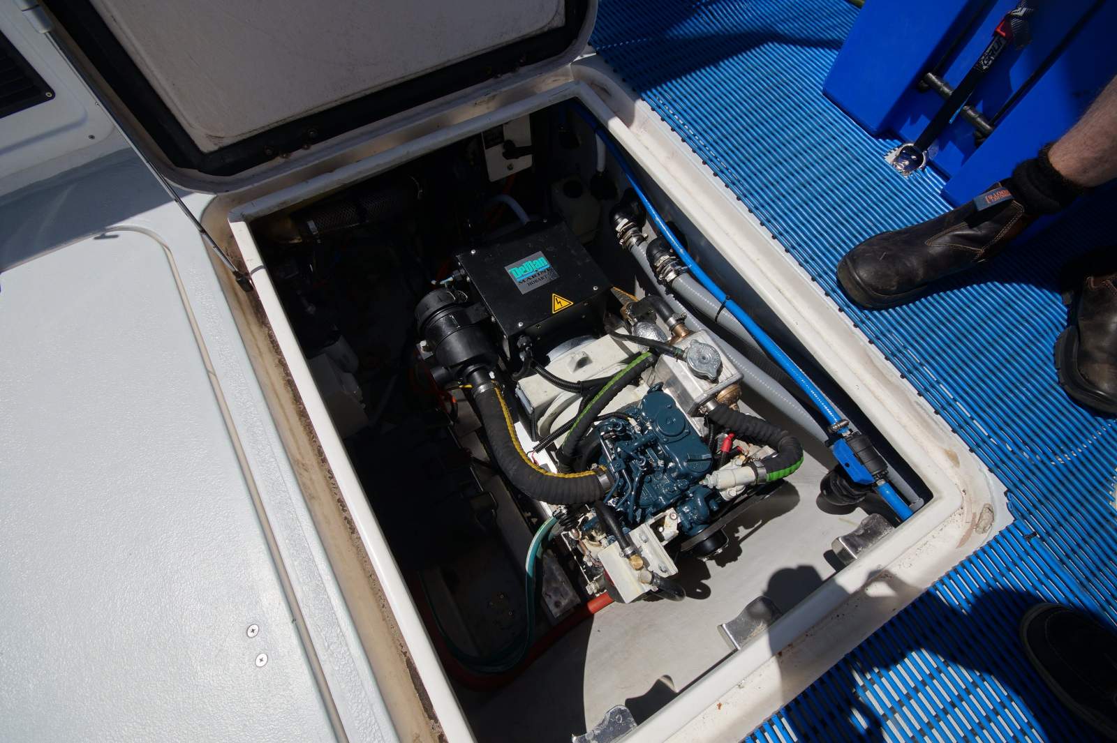 Cougar Cat 40 (2C / 3C Survey)