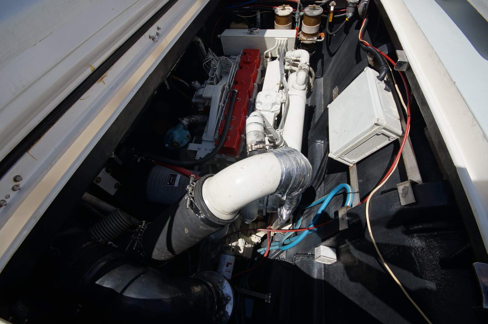 Cougar Cat 40 (2C / 3C Survey)