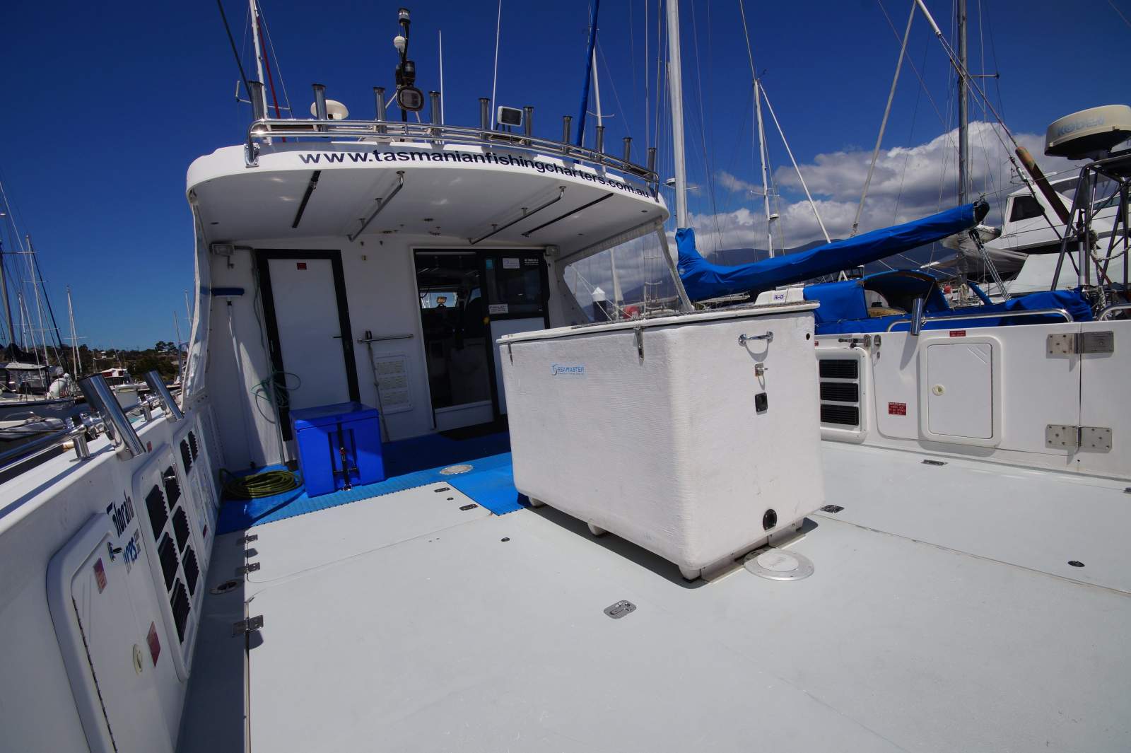 Cougar Cat 40 (2C / 3C Survey)