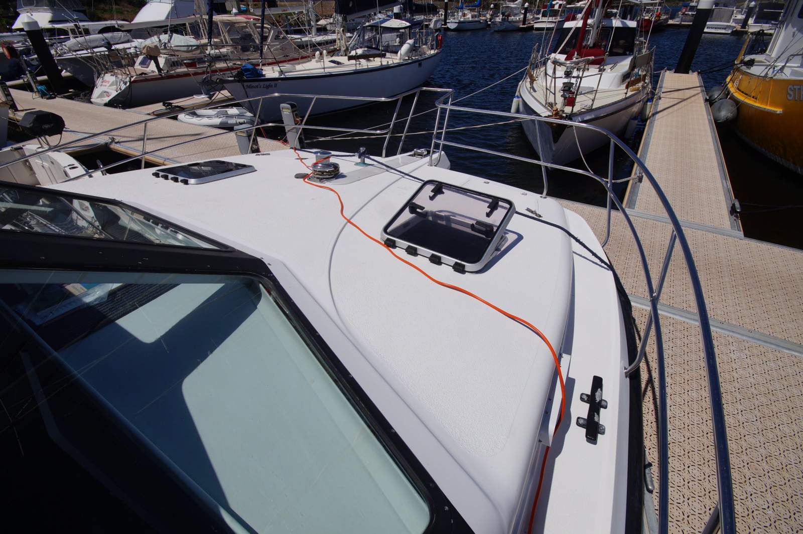 Cougar Cat 40 (2C / 3C Survey)