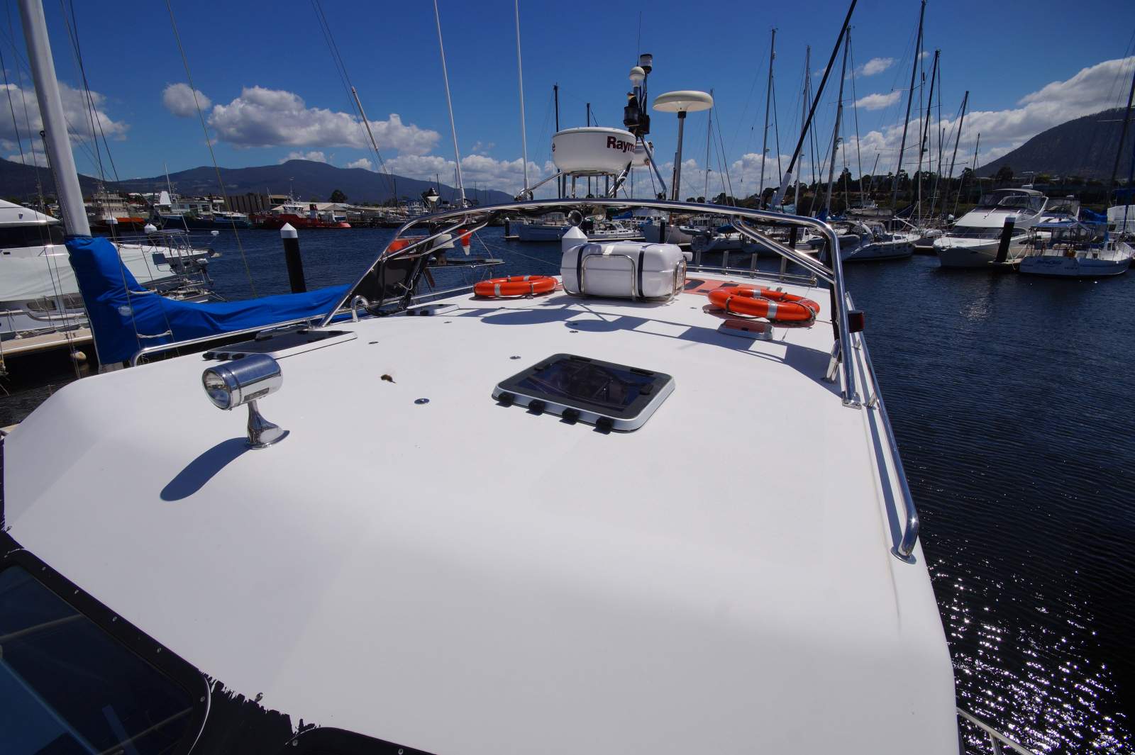 Cougar Cat 40 (2C / 3C Survey)