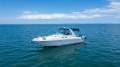 Sea Ray 310 Sundancer