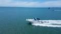 Sea Ray 310 Sundancer
