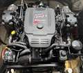 Thomascraft 3100 Executive Engine Upgrade, extended marlin board & 3 double's