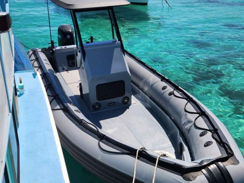 Zodiac Hurricane 733 Reasonable offers considered, Foam tubes