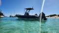 Zodiac Hurricane 733 Reasonable offers considered, Foam tubes