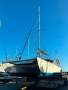 Fastback 32 Catamaran:Last antifouled Sept 2024