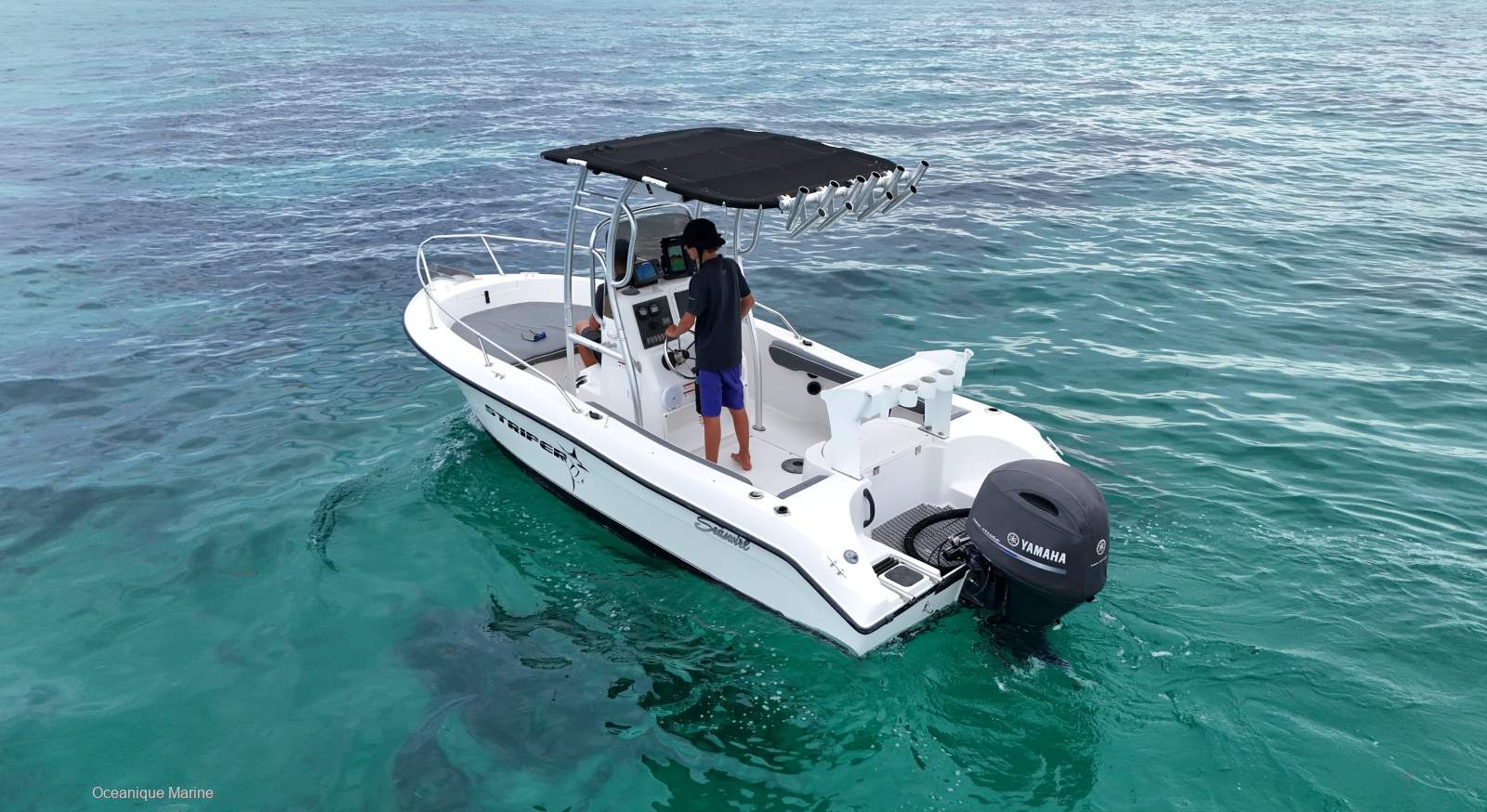 Seaswirl 1851 Center Console