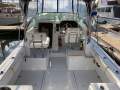 Glacier Bay 2270 Isle Runner with dual axle registered trailer