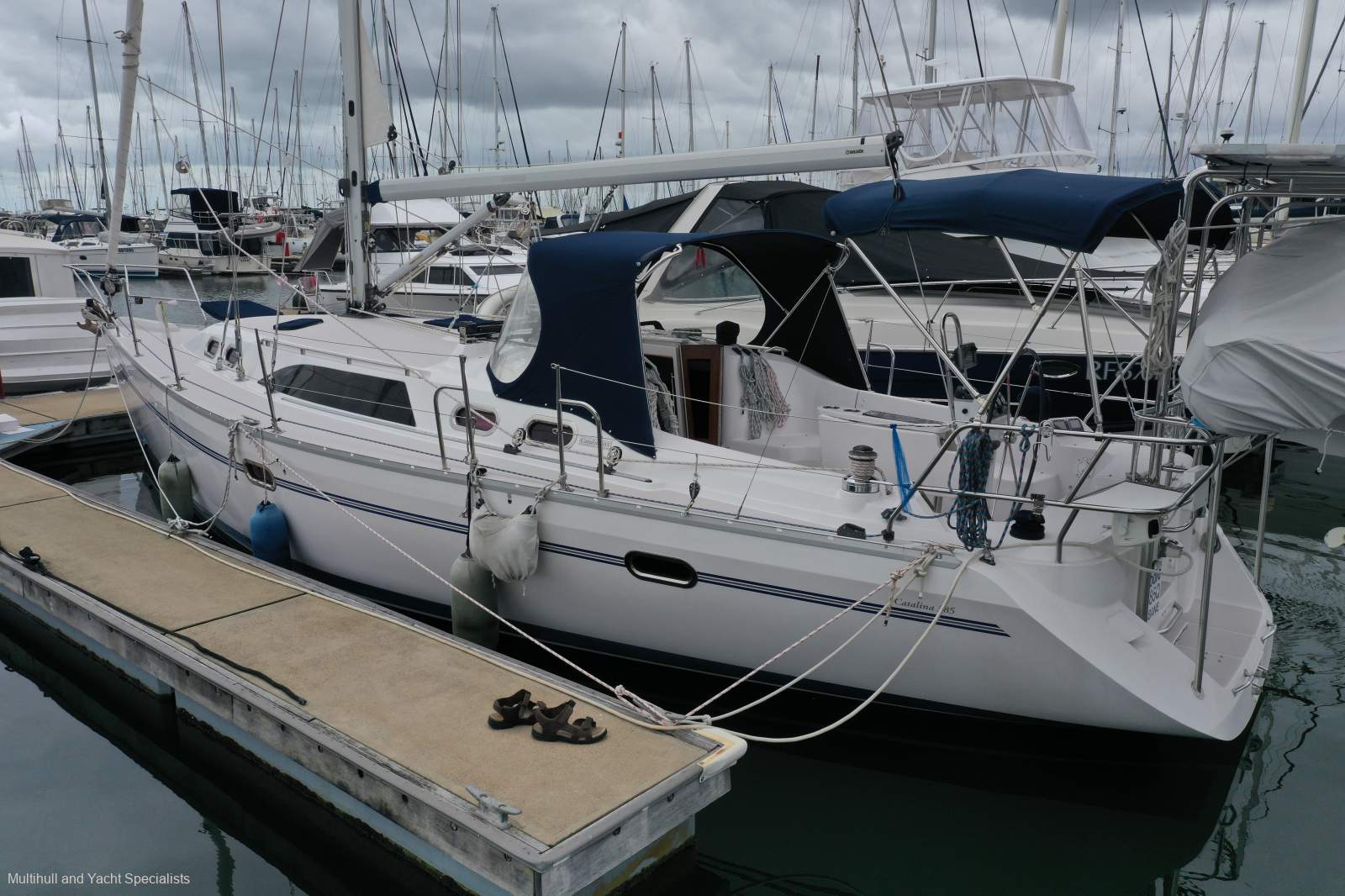 Catalina 385