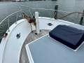 Blue Seas 36