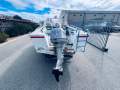 Penguin 5.8 Runabout