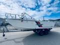 Penguin 5.8 Runabout