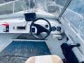 Penguin 5.8 Runabout