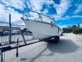 Penguin 5.8 Runabout