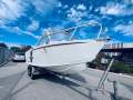 Penguin 5.8 Runabout