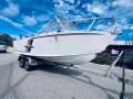 Penguin 5.8 Runabout