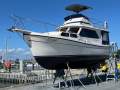 Cuddles 30 Flybridge Cruiser