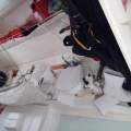 Pogo Class 40 CAPABLE & PROVEN SHORT-HANDED OFFSHORE RACER!