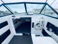 Bertram 20