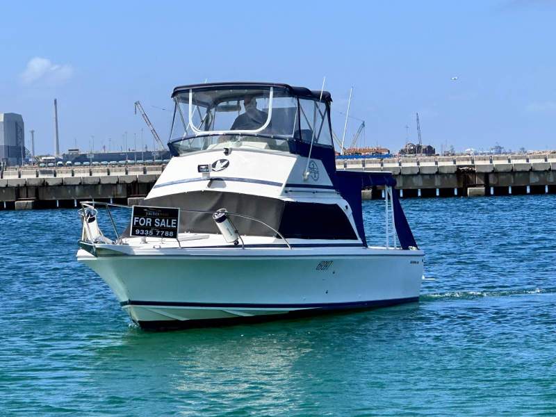 Bertram Caribbean 25