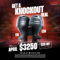 New Evolution 500 Cuddy