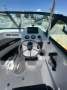 New Evolution 500 Cuddy