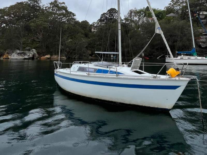 Yamaha 24 Ms