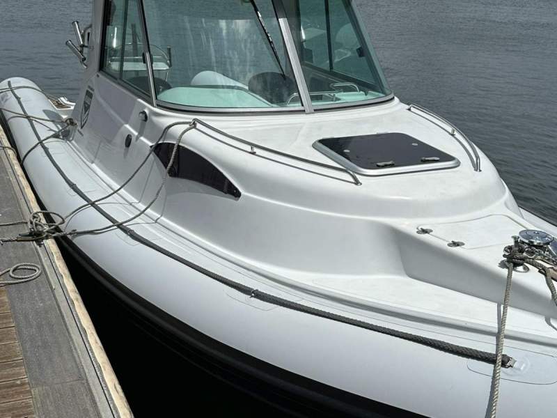 Assault 890 Hardtop Rib