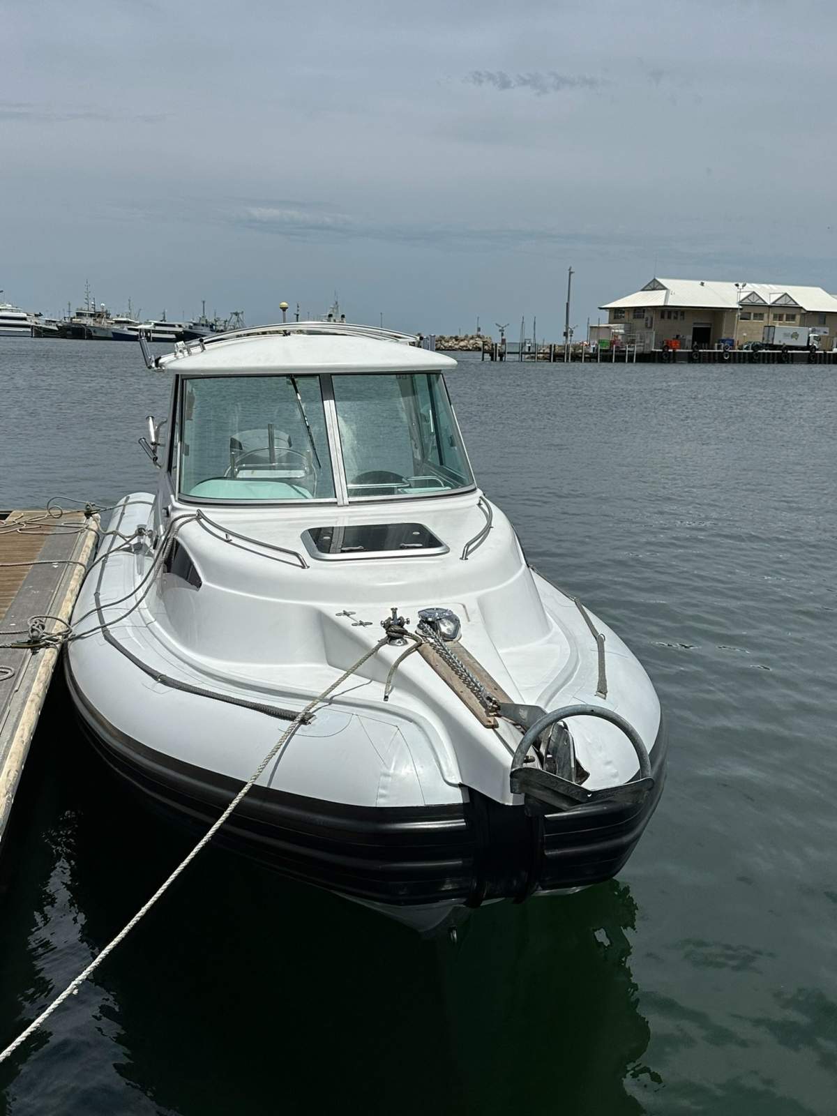 Assault 890 Hardtop Rib