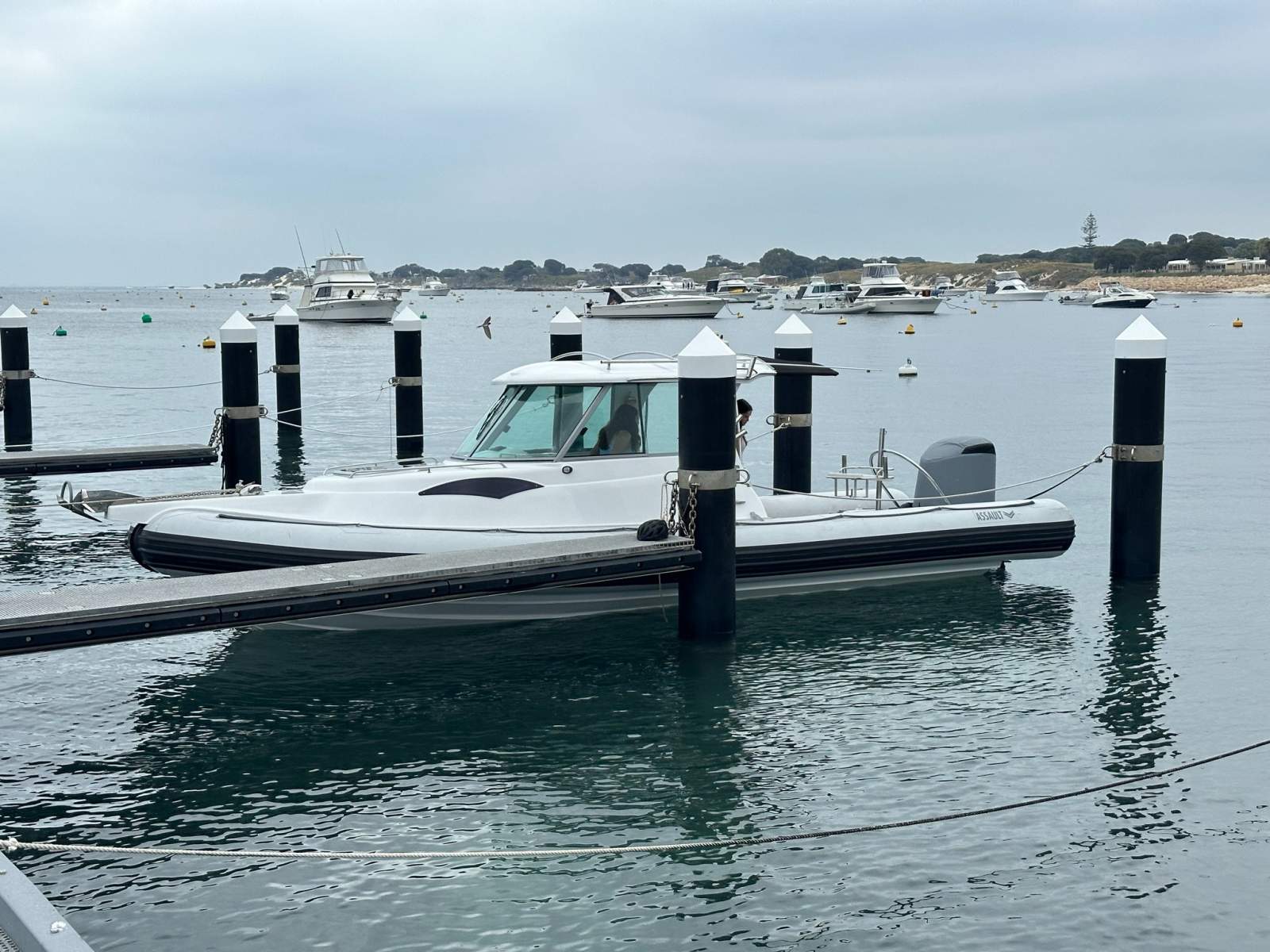 Assault 890 Hardtop Rib