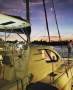 Leopard Catamarans 44