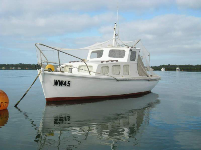 Lacco Timber Cruiser Carvel kauri