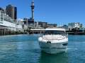 Jeanneau NC 37 #223 Toru
