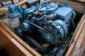 Timber Runabout